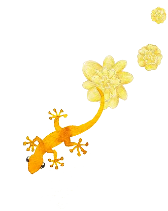 裝飾圖案