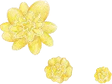 主視覺花飾